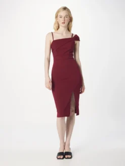 Wal G Etuikjoler Etuikjole REVRA Kvinder Vinrød -Minikjoler Butikk 2a36f99d36f684a5556c2afd22d5c23b scaled